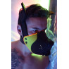 Breedwell Masque Poundtown Pup Breedwell Noir-Jaune